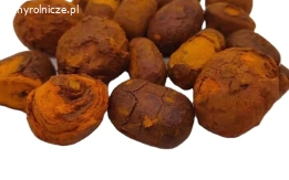 bezoar hot sale gallstones bulk ox bezoar alculus Bovis Sativus bag/1g