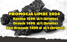 Sprzedaż hurtowa węgla.Polskie kopalnie.Promocja Lipiec 2024