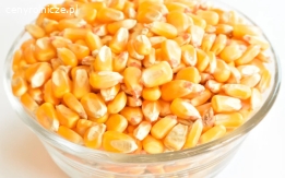 Yellow Dried Corn